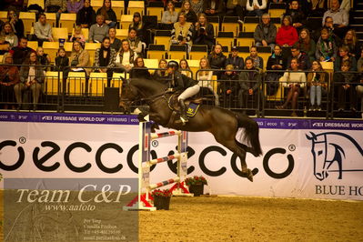 Jydske bank box
BEMER Int. AG CSI2 Big Tour GP Qual. (238.2.2) 1.45m
Nøgleord: helena lundbäck;sportman