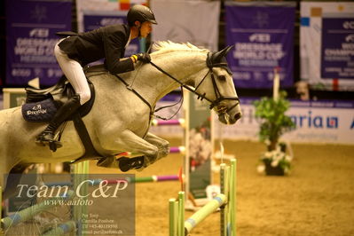 Jydske bank box
BEMER Int. AG CSI2 Big Tour GP Qual. (238.2.2) 1.45m
Nøgleord: simon heincke;chairman 20