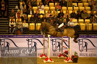 Jydske bank box
BEMER Int. AG CSI2 Big Tour GP Qual. (238.2.2) 1.45m
Nøgleord: stine cassoe;conshillo