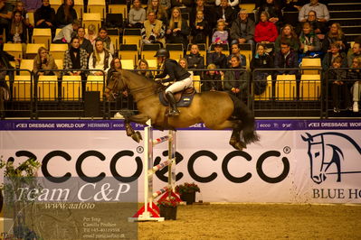 Jydske bank box
BEMER Int. AG CSI2 Big Tour GP Qual. (238.2.2) 1.45m
Nøgleord: stine cassoe;conshillo