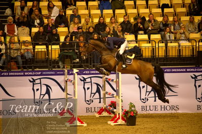 Jydske bank box
BEMER Int. AG CSI2 Big Tour GP Qual. (238.2.2) 1.45m
Nøgleord: jack ray nielsen;gerdings rockmama