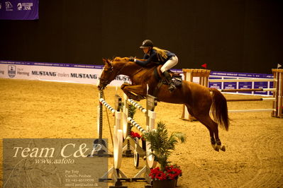 Jydske bank box
BEMER Int. AG CSI2 Big Tour GP Qual. (238.2.2) 1.45m
Nøgleord: madeleine lien;castlefield jess