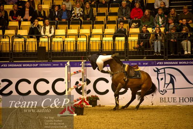 Jydske bank box
BEMER Int. AG CSI2 Big Tour GP Qual. (238.2.2) 1.45m
Nøgleord: estolga;mathilde kristine kalland;styrt