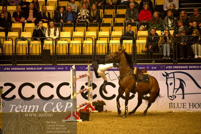 Jydske bank box
BEMER Int. AG CSI2 Big Tour GP Qual. (238.2.2) 1.45m
Nøgleord: estolga;mathilde kristine kalland;styrt