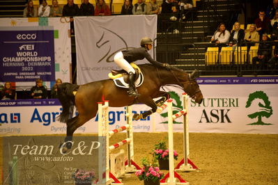 Jydske bank box
BEMER Int. AG CSI2 Big Tour GP Qual. (238.2.2) 1.45m
Nøgleord: ada alette braaten johnsen;my way b&v