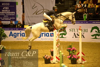 Jydske bank box
BEMER Int. AG CSI2 Big Tour GP Qual. (238.2.2) 1.45m
Nøgleord: rie rose lindegren roed;newcomer 13