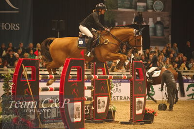 Absolut horses
Zibrasport Equest CSI2 Medium Tour (238.2.1) 1.40m
Nøgleord: helena lundbäck;cc sailor