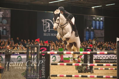 Absolut horses
Zibrasport Equest CSI2 Medium Tour (238.2.1) 1.40m
Nøgleord: ingrid sandhei bjørklund;arie z
