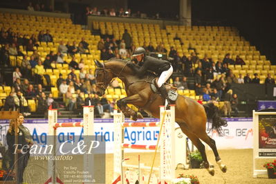 Jydske bank box
CSI2 Stutteri Ask Grand Prix LR (273.4.3b-GP) 1.45m
Nøgleord: py jägerden;libido van't hofken'16