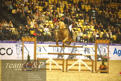 Jydske bank box
CSI2 Stutteri Ask Grand Prix LR (273.4.3b-GP) 1.45m
Nøgleord: philipp schulze topphoff;carla 229