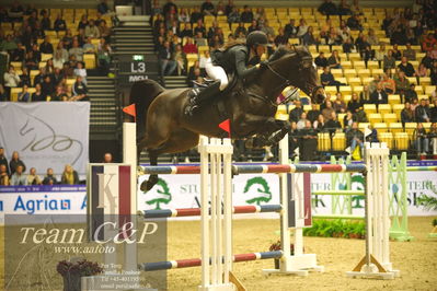 Jydske bank box
CSI2 Stutteri Ask Grand Prix LR (273.4.3b-GP) 1.45m
Nøgleord: charlotte kondrup;dithmarsia