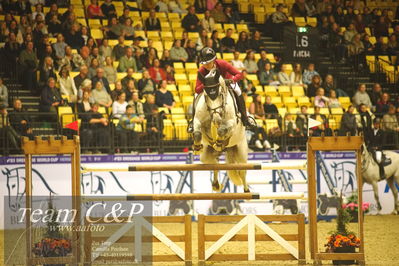 Jydske bank box
CSI2 Stutteri Ask Grand Prix LR (273.4.3b-GP) 1.45m
Nøgleord: shannon meinert ketterle;more than extra