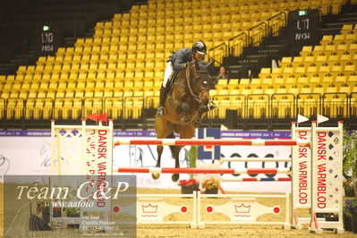 Jydske bank box
CSI2 Stutteri Ask Grand Prix LR (273.4.3b-GP) 1.45m
Nøgleord: shane carey;skorphults baloutendro