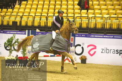 Jydske bank box
CSI2 Stutteri Ask Grand Prix LR (273.4.3b-GP) 1.45m
Nøgleord: lap of honour;philipp schulze topphoff;carla 229