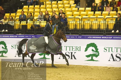 Jydske bank box
CSI2 Stutteri Ask Grand Prix LR (273.4.3b-GP) 1.45m
Nøgleord: lap of honour;shane carey;skorphults baloutendro