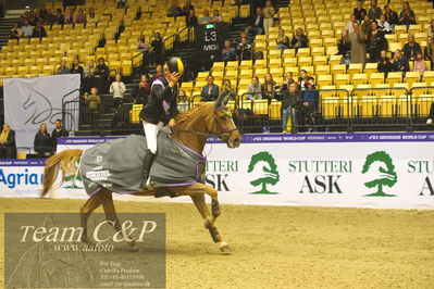 Jydske bank box
CSI2 Stutteri Ask Grand Prix LR (273.4.3b-GP) 1.45m
Nøgleord: lap of honour;carla 229;philipp schulze topphoff