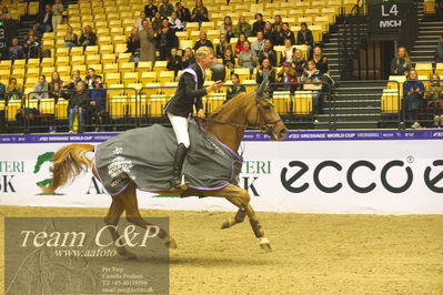 Jydske bank box
CSI2 Stutteri Ask Grand Prix LR (273.4.3b-GP) 1.45m
Nøgleord: lap of honour;carla 229;philipp schulze topphoff