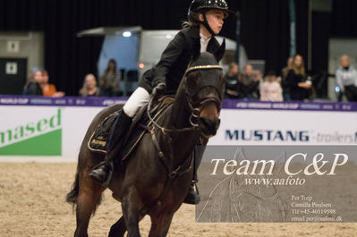 Nøgleord: emilie sehested boll;flach back