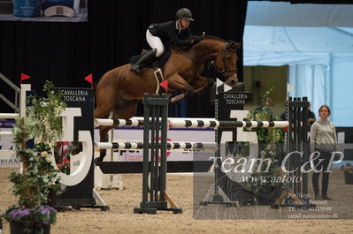 Nøgleord: crispi t;nikoline gulstad