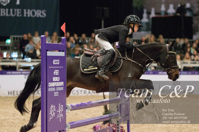 Nøgleord: emilie sehested boll;flach back