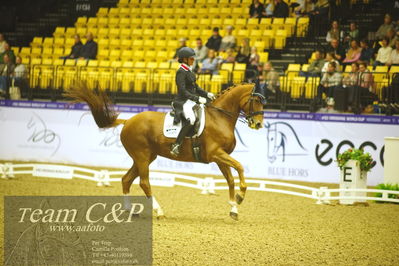 Jydske bank box
kibby HC CDI3 Grand Prix Special presented by Helgstrand Dressage
Nøgleord: anna louise ross;newton domino