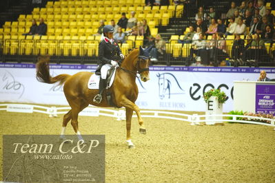Jydske bank box
kibby HC CDI3 Grand Prix Special presented by Helgstrand Dressage
Nøgleord: anna louise ross;newton domino