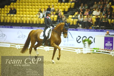 Jydske bank box
kibby HC CDI3 Grand Prix Special presented by Helgstrand Dressage
Nøgleord: anna louise ross;newton domino