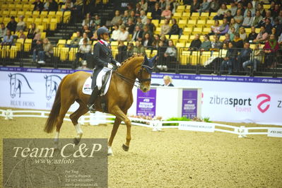 Jydske bank box
kibby HC CDI3 Grand Prix Special presented by Helgstrand Dressage
Nøgleord: anna louise ross;newton domino