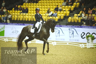 Jydske bank box
kibby HC CDI3 Grand Prix Special presented by Helgstrand Dressage
Nøgleord: josefine hoffmann;hønnerups driver