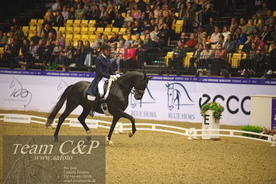 Jydske bank box
FEI Dressage World Cup Freestyle presented by ECCO (GP FS)
Nøgleord: vincent van gasselt;decroix 11