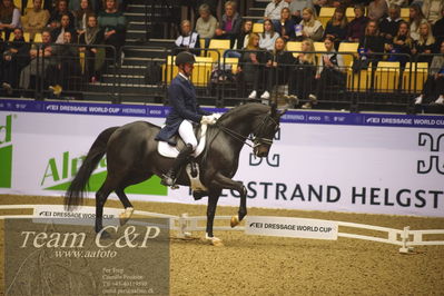 Jydske bank box
FEI Dressage World Cup Freestyle presented by ECCO (GP FS)
Nøgleord: vincent van gasselt;decroix 11