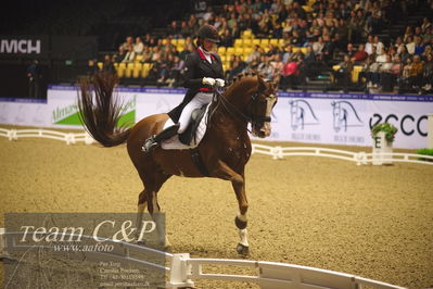 Jydske bank box
FEI Dressage World Cup Freestyle presented by ECCO (GP FS)
Nøgleord: thamar zweistra;hexagon's double dutch