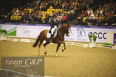 Jydske bank box
FEI Dressage World Cup Freestyle presented by ECCO (GP FS)
Nøgleord: thamar zweistra;hexagon's double dutch