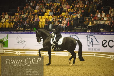 Jydske bank box
FEI Dressage World Cup Freestyle presented by ECCO (GP FS)
Nøgleord: marlies van baalen;go legend