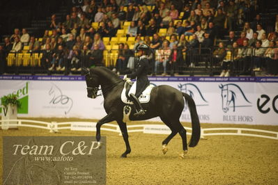 Jydske bank box
FEI Dressage World Cup Freestyle presented by ECCO (GP FS)
Nøgleord: marlies van baalen;go legend