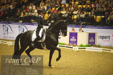 Jydske bank box
FEI Dressage World Cup Freestyle presented by ECCO (GP FS)
Nøgleord: marlies van baalen;go legend