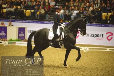 Jydske bank box
FEI Dressage World Cup Freestyle presented by ECCO (GP FS)
Nøgleord: marlies van baalen;go legend