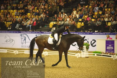 Jydske bank box
FEI Dressage World Cup Freestyle presented by ECCO (GP FS)
Nøgleord: anna kasparcack;rock star 13