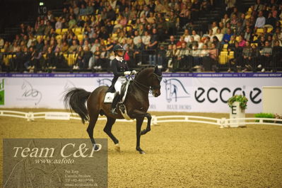 Jydske bank box
FEI Dressage World Cup Freestyle presented by ECCO (GP FS)
