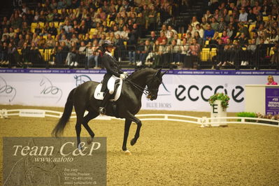 Jydske bank box
FEI Dressage World Cup Freestyle presented by ECCO (GP FS)
Nøgleord: carina cassøe krüth;heiline's danciera