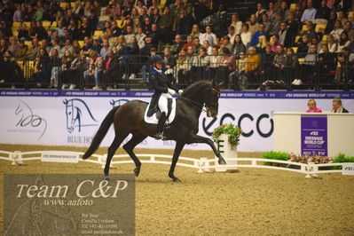 Jydske bank box
FEI Dressage World Cup Freestyle presented by ECCO (GP FS)
Nøgleord: nanna skjold merrald;blue hors zack