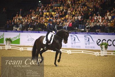 Jydske bank box
FEI Dressage World Cup Freestyle presented by ECCO (GP FS)
Nøgleord: nanna skjold merrald;blue hors zack