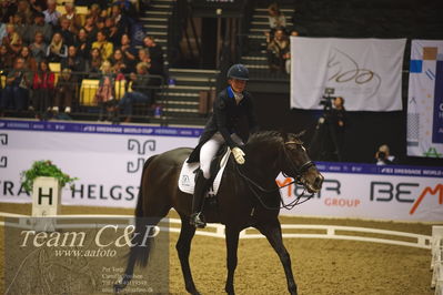 Jydske bank box
FEI Dressage World Cup Freestyle presented by ECCO (GP FS)
Nøgleord: nanna skjold merrald;blue hors zack