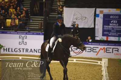 Jydske bank box
FEI Dressage World Cup Freestyle presented by ECCO (GP FS)
Nøgleord: nanna skjold merrald;blue hors zack