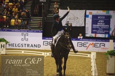 Jydske bank box
FEI Dressage World Cup Freestyle presented by ECCO (GP FS)
Nøgleord: nanna skjold merrald;blue hors zack