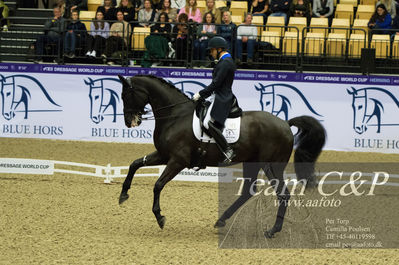 Nøgleord: blue hors zick flower;christian tudela ruiz