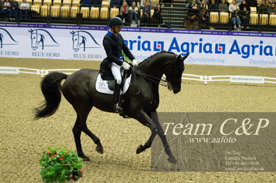 Nøgleord: blue hors zick flower;christian tudela ruiz