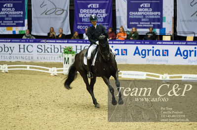 Nøgleord: blue hors zick flower;christian tudela ruiz