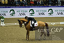 Filnavn=_DSC0077.jpg
Filstørrelse=3242KiB
Dimensioner=4999x3324
Dato for tilføjelse=%22 %849, %2021 _DSC0077.jpg