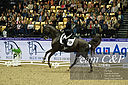 Filnavn=_DSC0109.jpg
Filstørrelse=3213KiB
Dimensioner=4999x3324
Dato for tilføjelse=%22 %830, %2021 _DSC0109.jpg